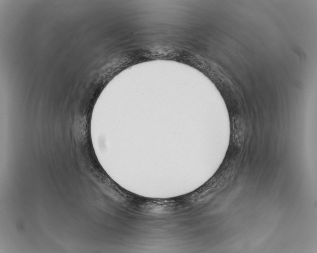 X0000111610563200908281053