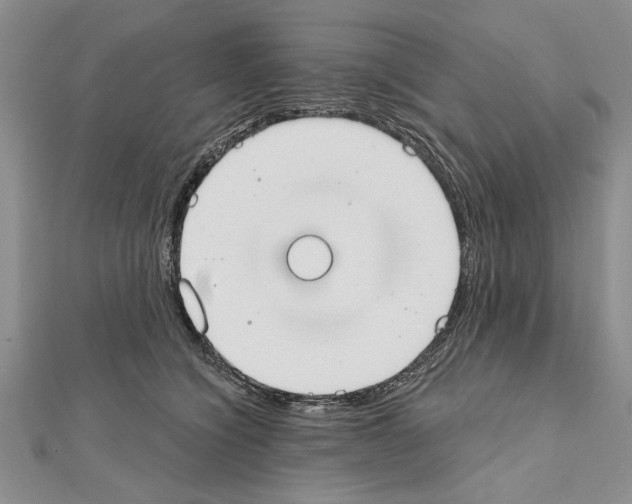 X0000111610564200908281053