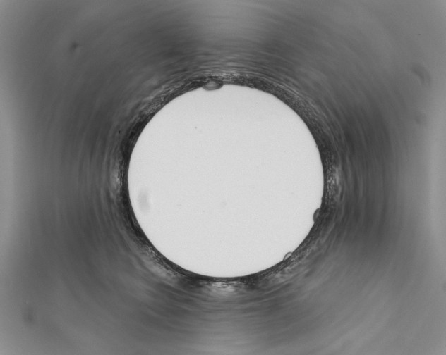 X0000111610566200908281053
