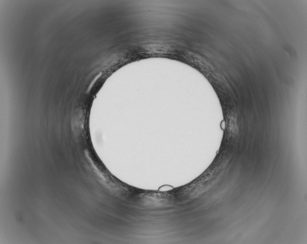 X0000111610567200908281053