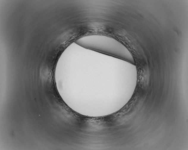 X0000111610568200908281053