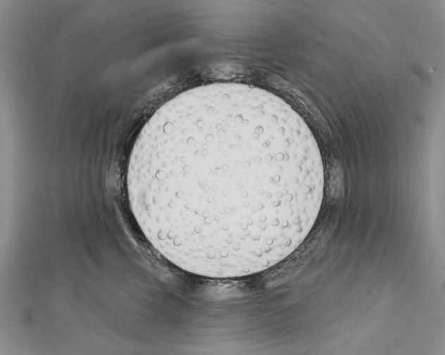 X0000111610569200908281053