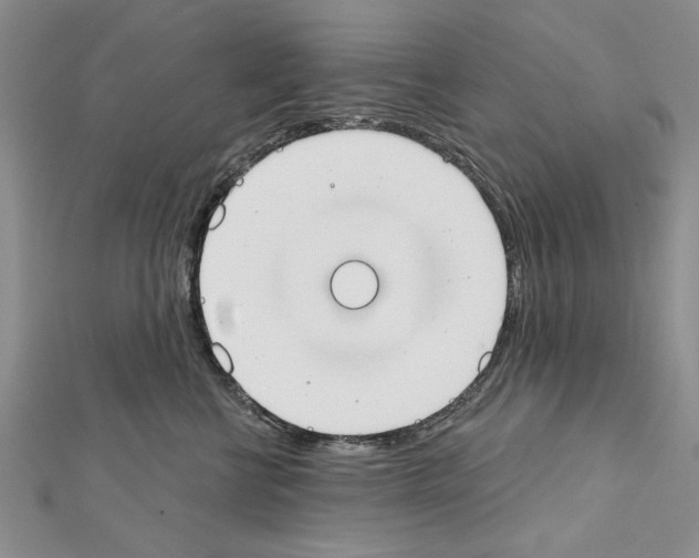 X0000111610570200908281053