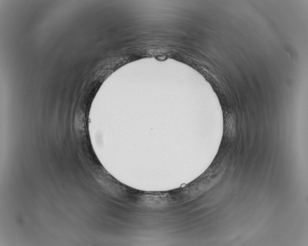 X0000111610571200908281053