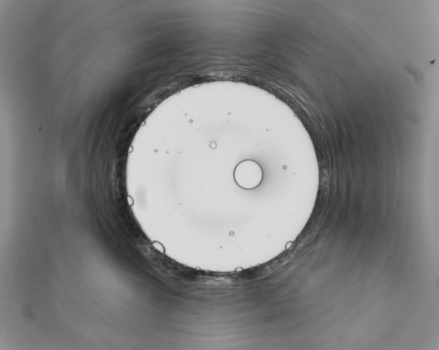 X0000111610572200908281053