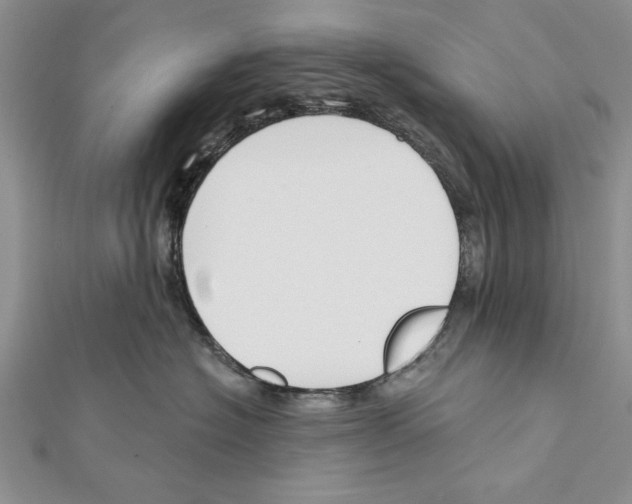 X0000111610574200908281053
