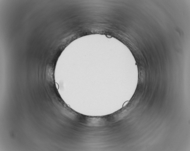 X0000111610575200908281053
