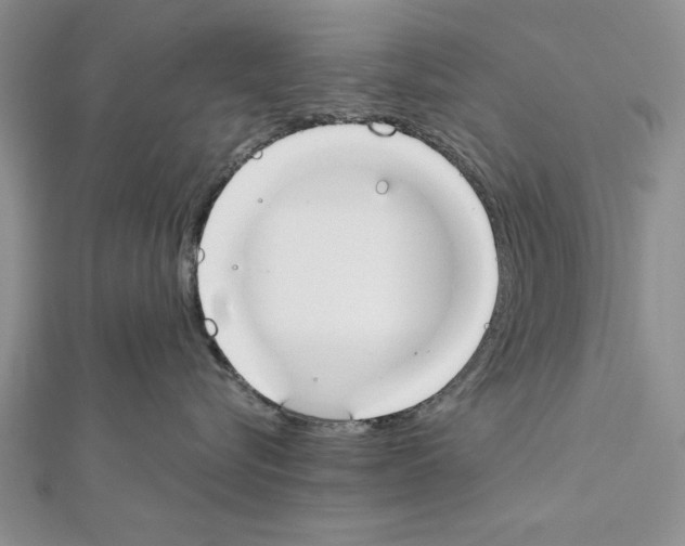 X0000111610576200908281053