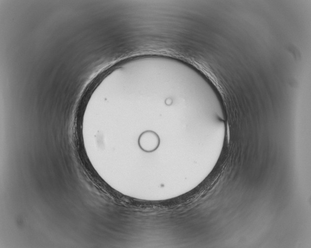 X0000111610579200908281053