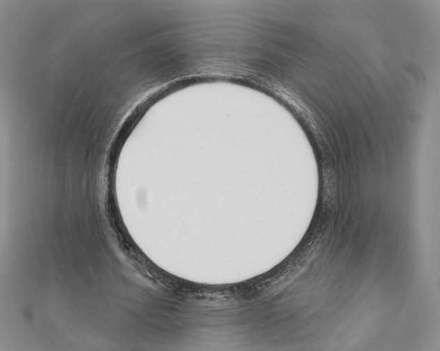 X0000111610580200908281053