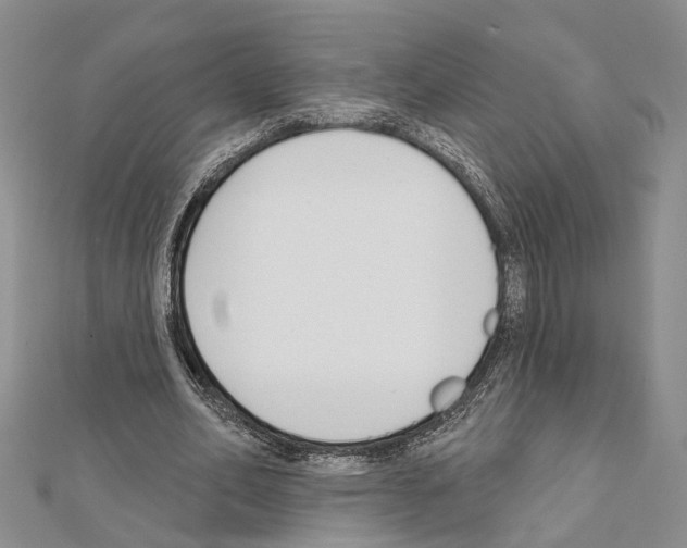 X0000111610582200908281053
