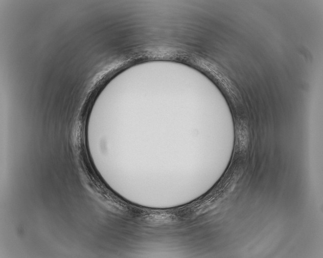 X0000111610583200908281053