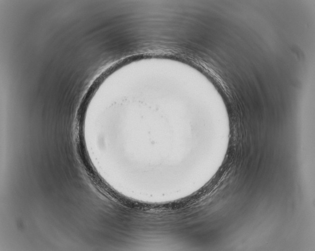 X0000111610584200908281053