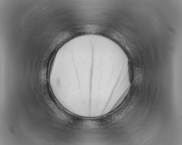 X0000111610585200908281053