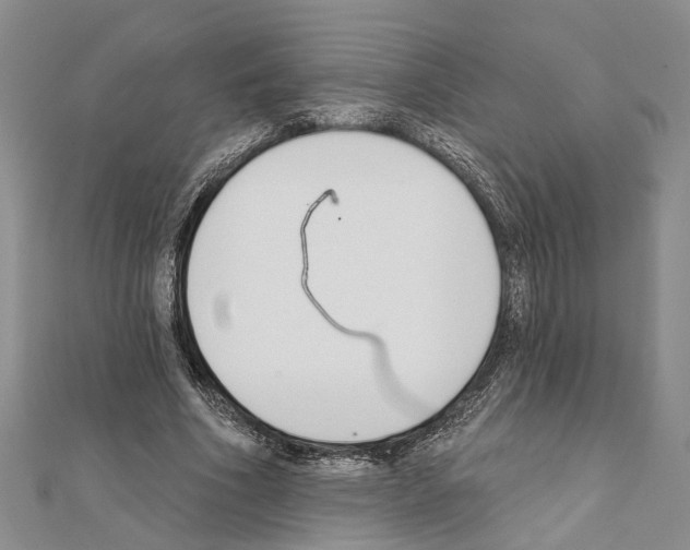 X0000111610586200908281053