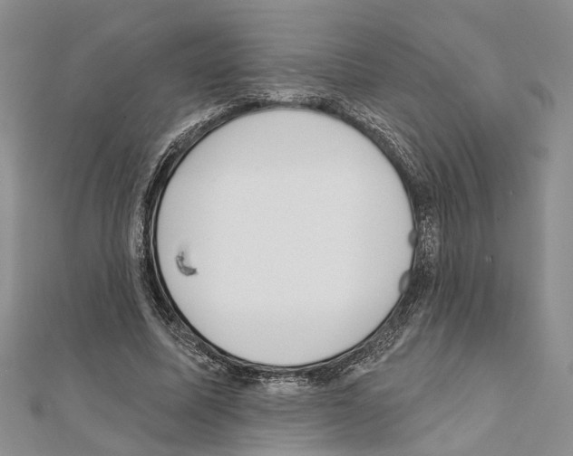 X0000111610587200908281053