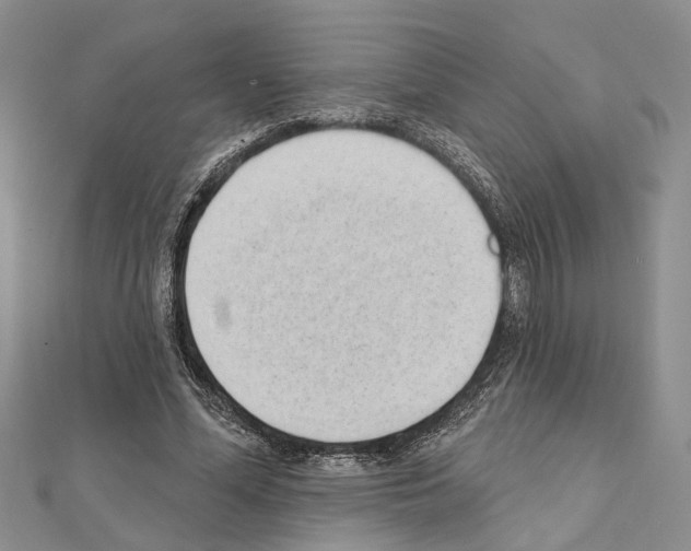 X0000111610588200908281053