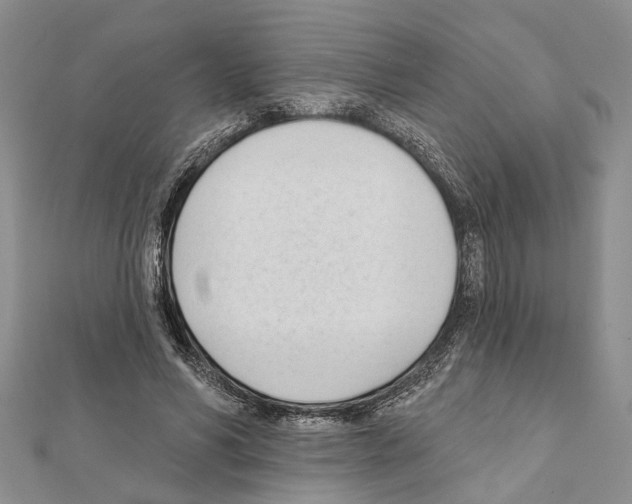 X0000111610590200908281053