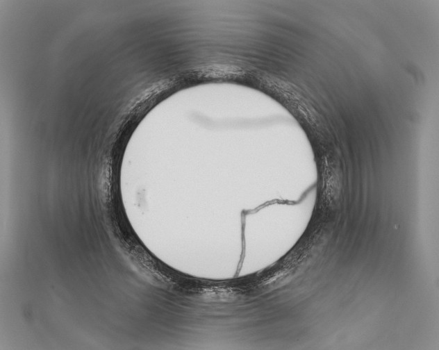 X0000111610591200908281053