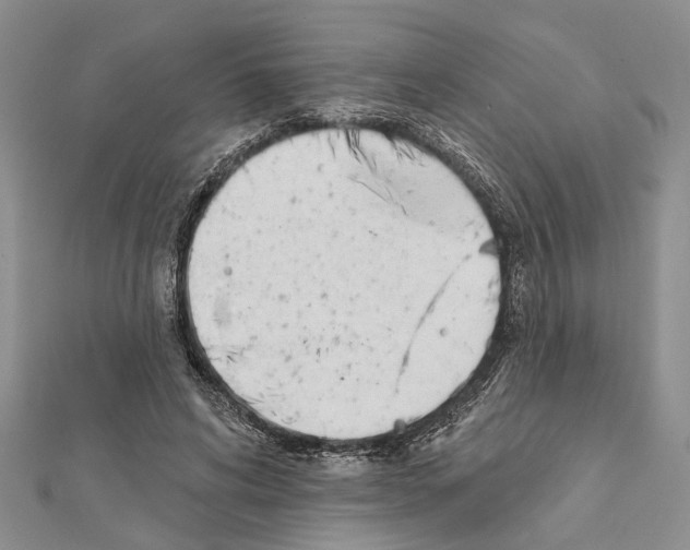 X0000111610592200908281053