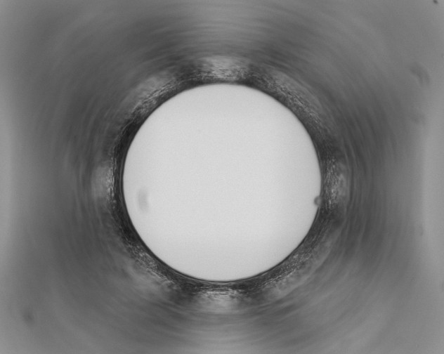 X0000111610595200908281053
