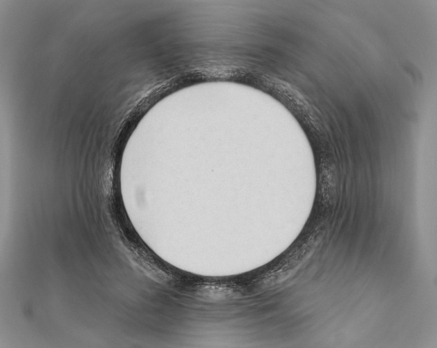 X0000111610596200908281053