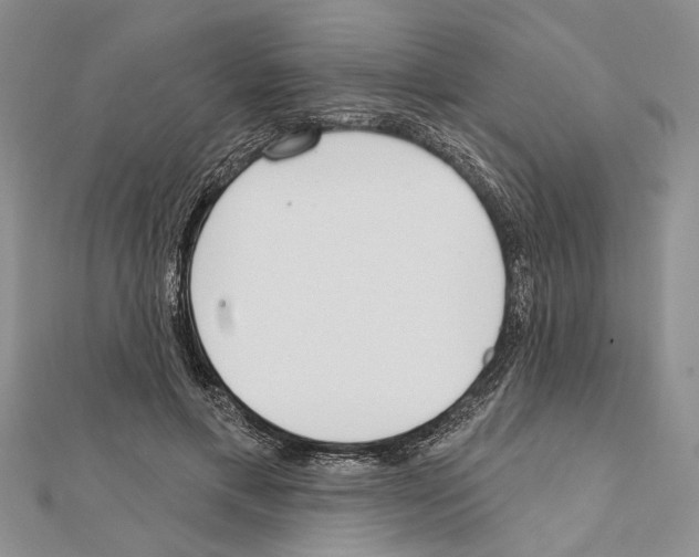 X0000111610597200908281052