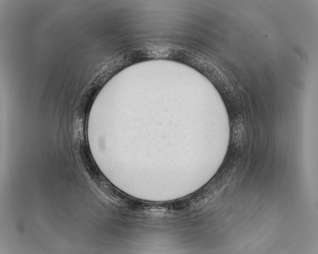 X0000111610598200908281052