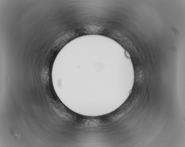 X0000111610599200908281052
