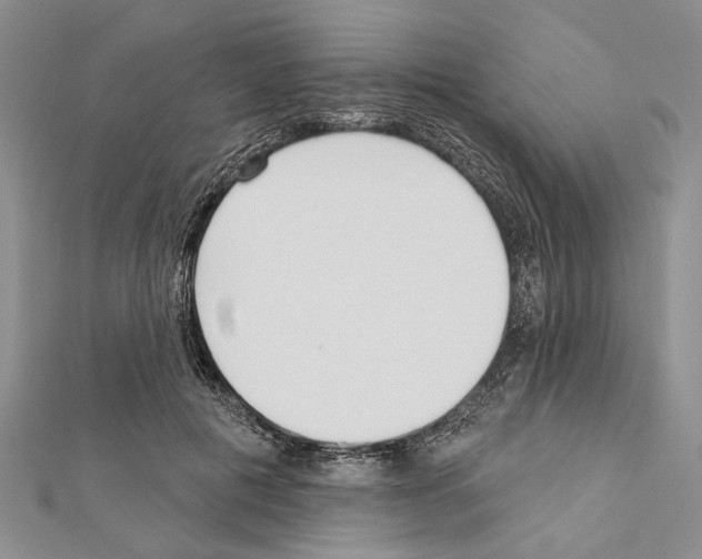 X0000111610601200908281052