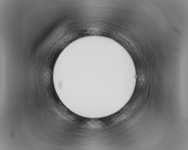X0000111610603200908281052