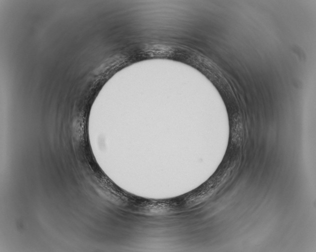 X0000111610604200908281052