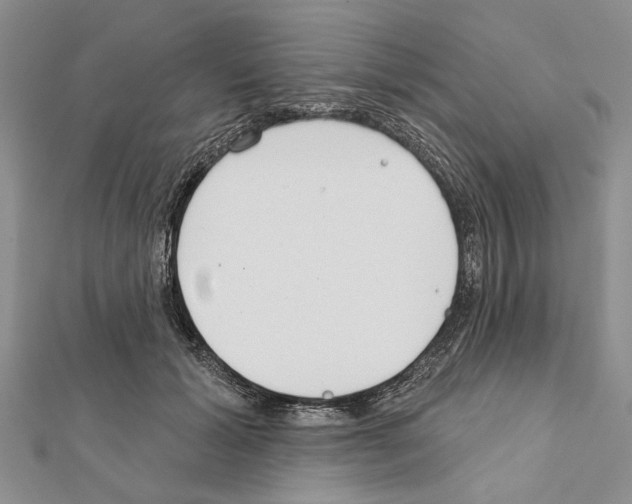 X0000111610605200908281052