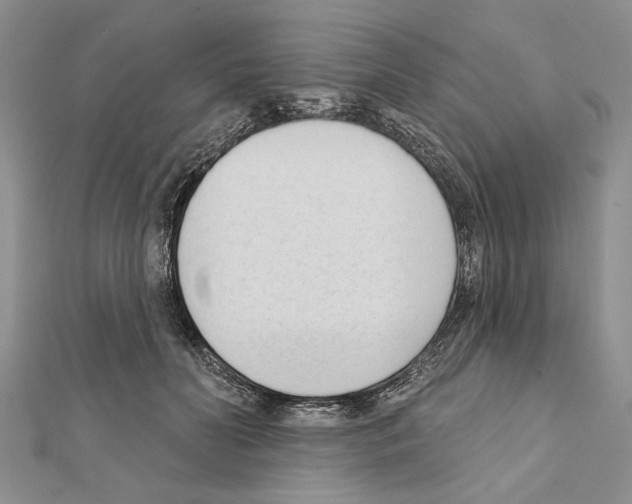 X0000111610606200908281052