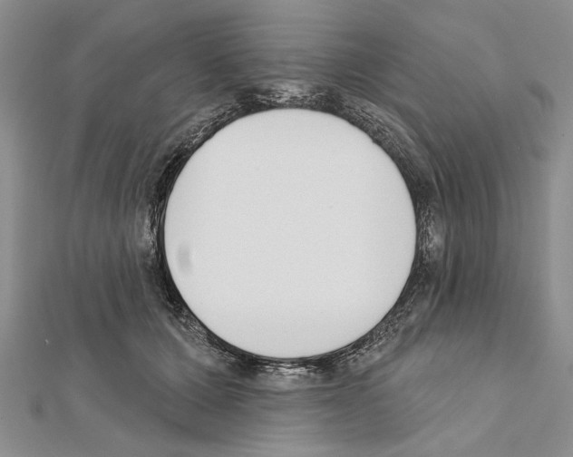 X0000111610607200908281052