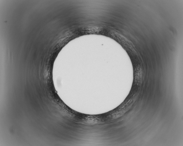 X0000111610608200908281052
