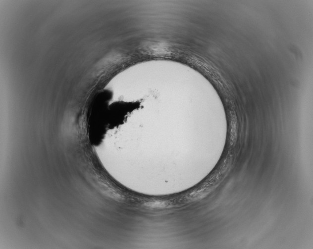 X0000111610609200908281052
