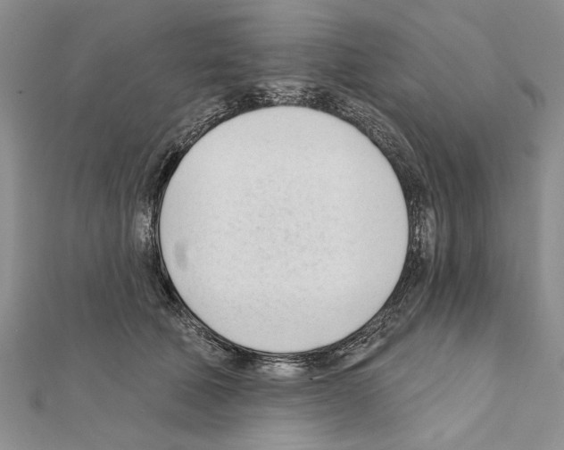 X0000111610610200908281052