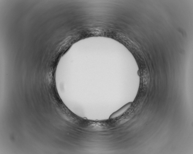 X0000111610611200908281052