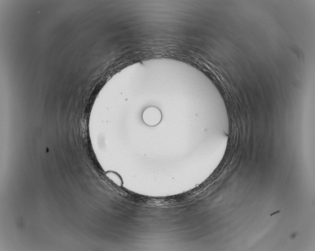 X0000111610613200908281052