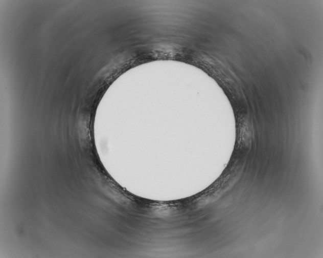 X0000111610616200908281052