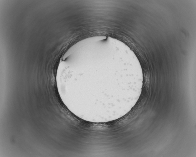X0000111610617200908281052
