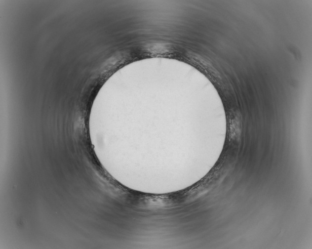 X0000111610618200908281052