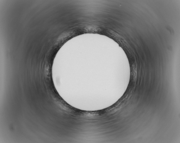 X0000111610619200908281052