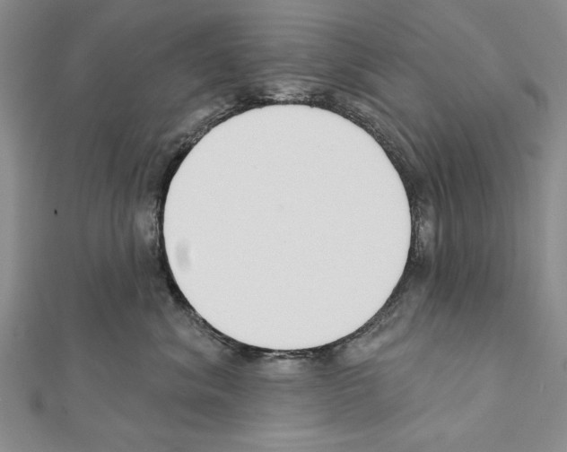 X0000111610620200908281052