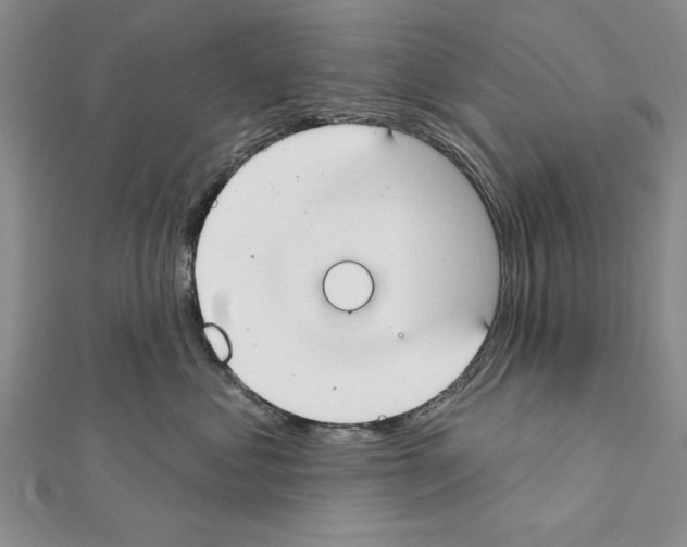 X0000111610621200908281052