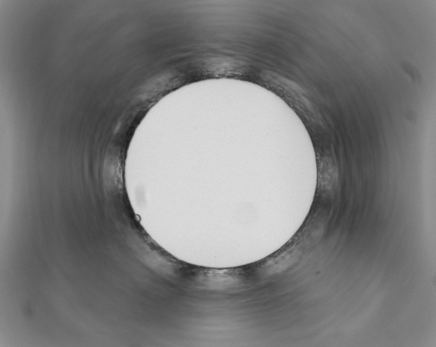 X0000111610622200908281052