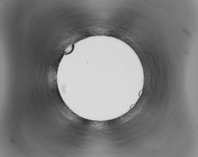 X0000111610624200908281052