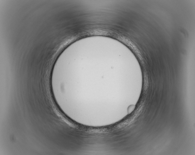 X0000111610625200908281051