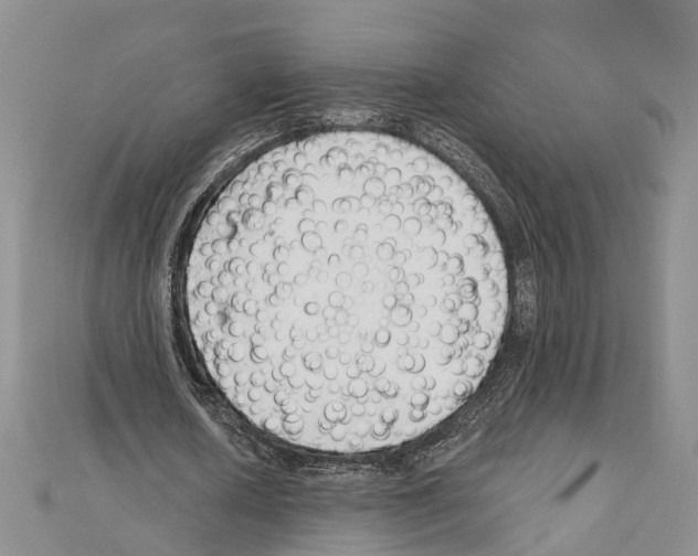 X0000111610626200908281051